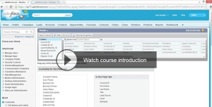 DevlopingWithVisuaforce