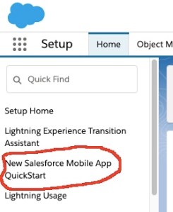 Access the New Salesforce Mobile App QuickStart from Setup