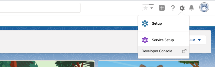 Access the online Developer Console