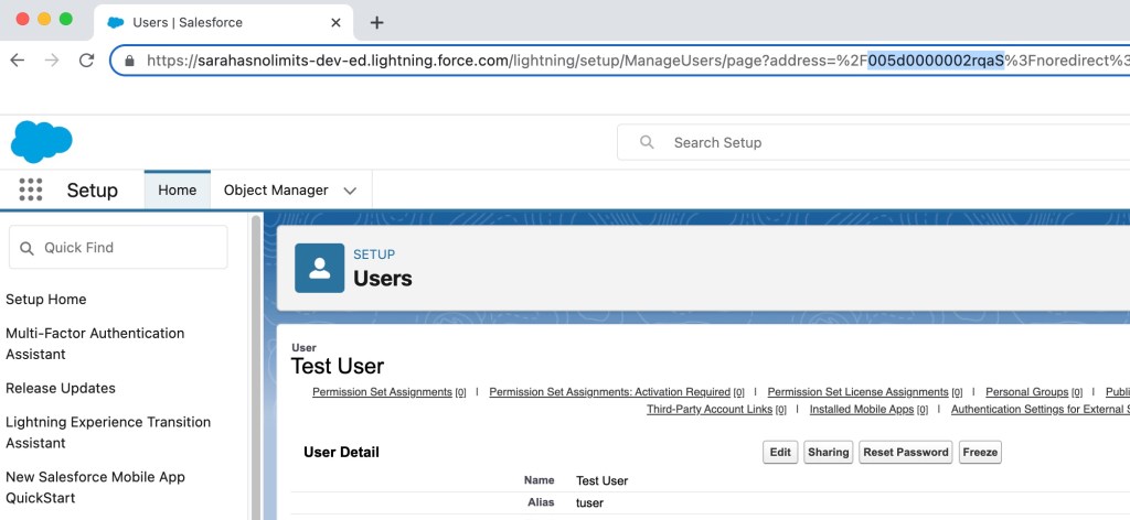 How to get UserId in Salesforce